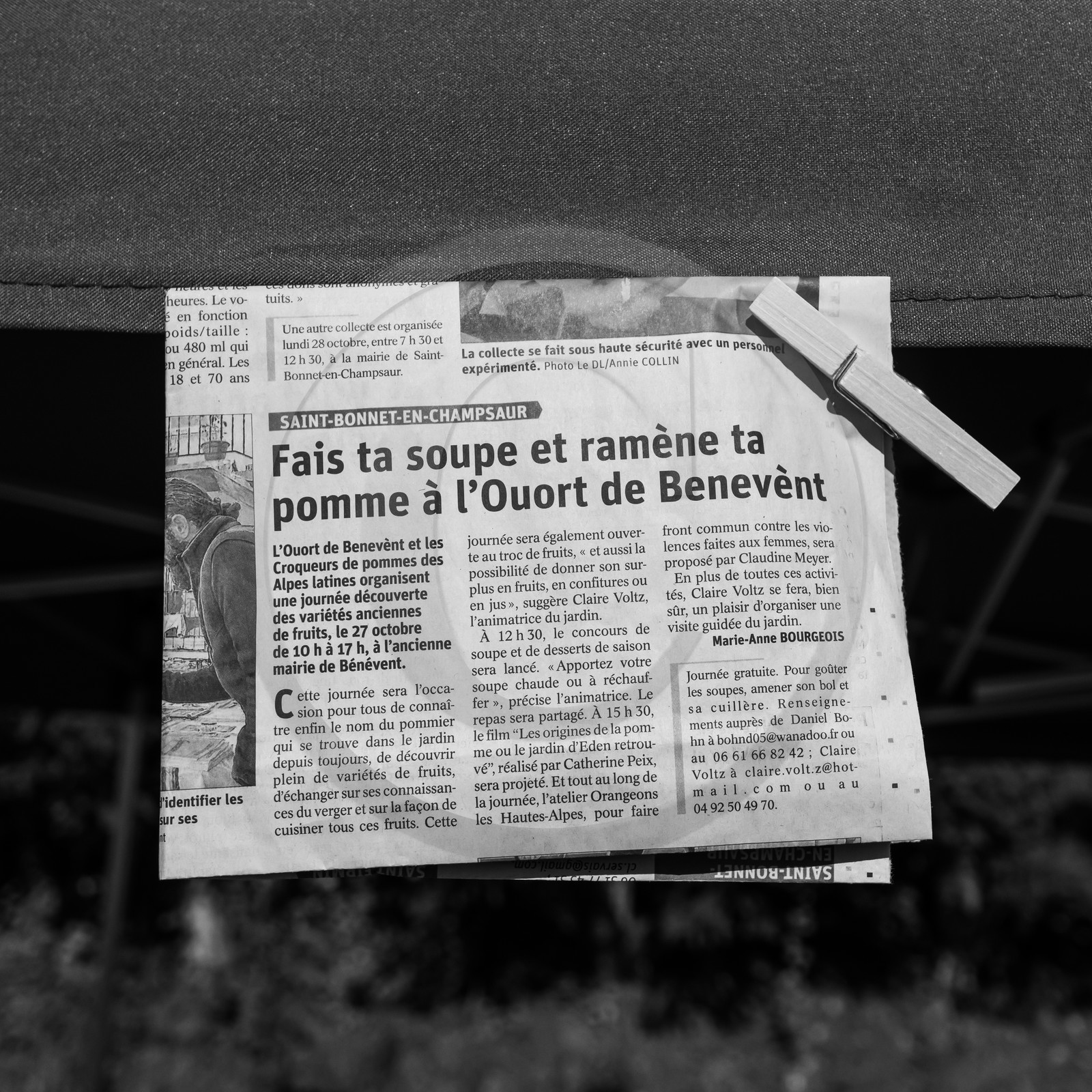 27 octobre 2019 : pommes, soupes et gâteaux