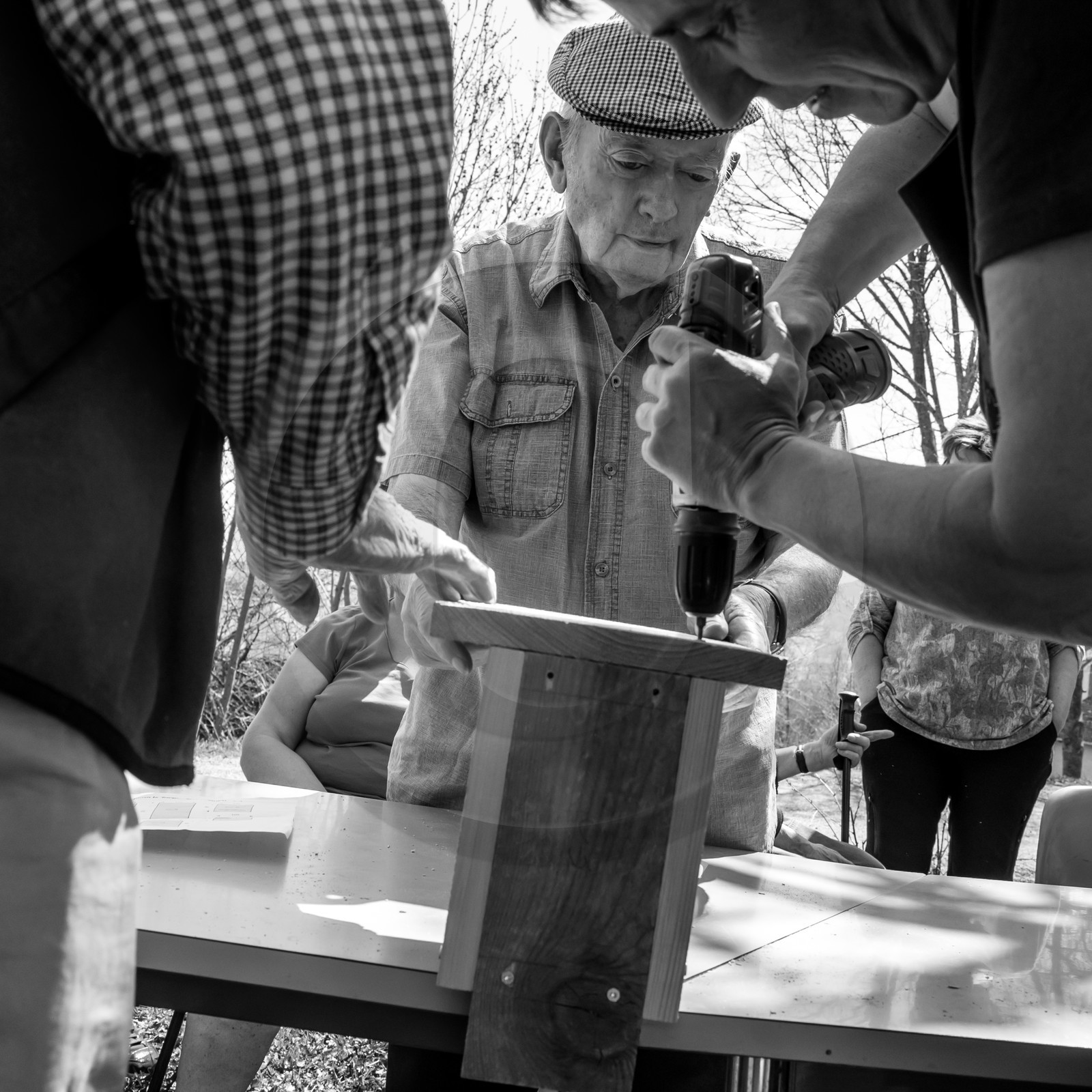 Fabrication de Nichoirs