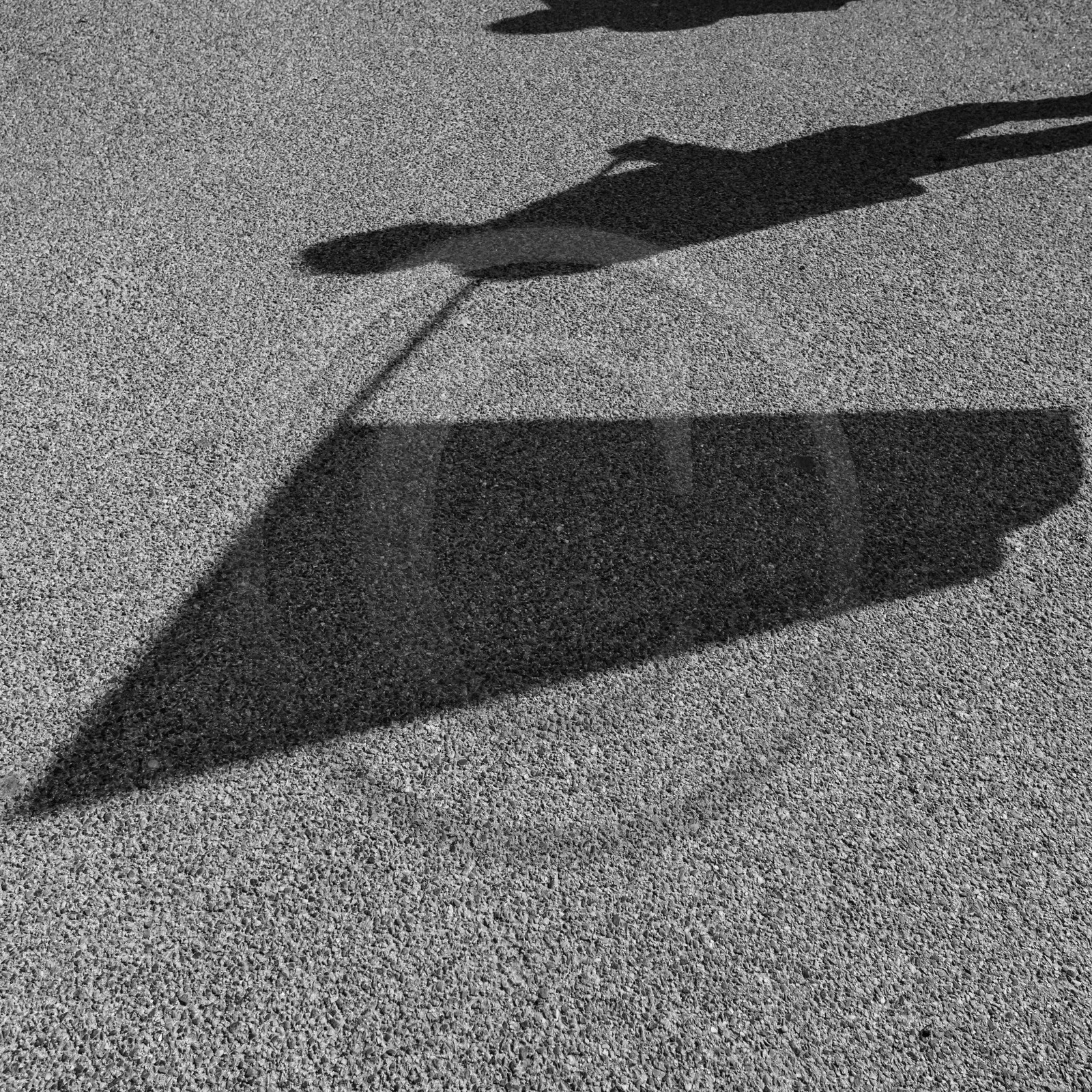 8 mars 2021 : Journée internationale du droit des Femmes