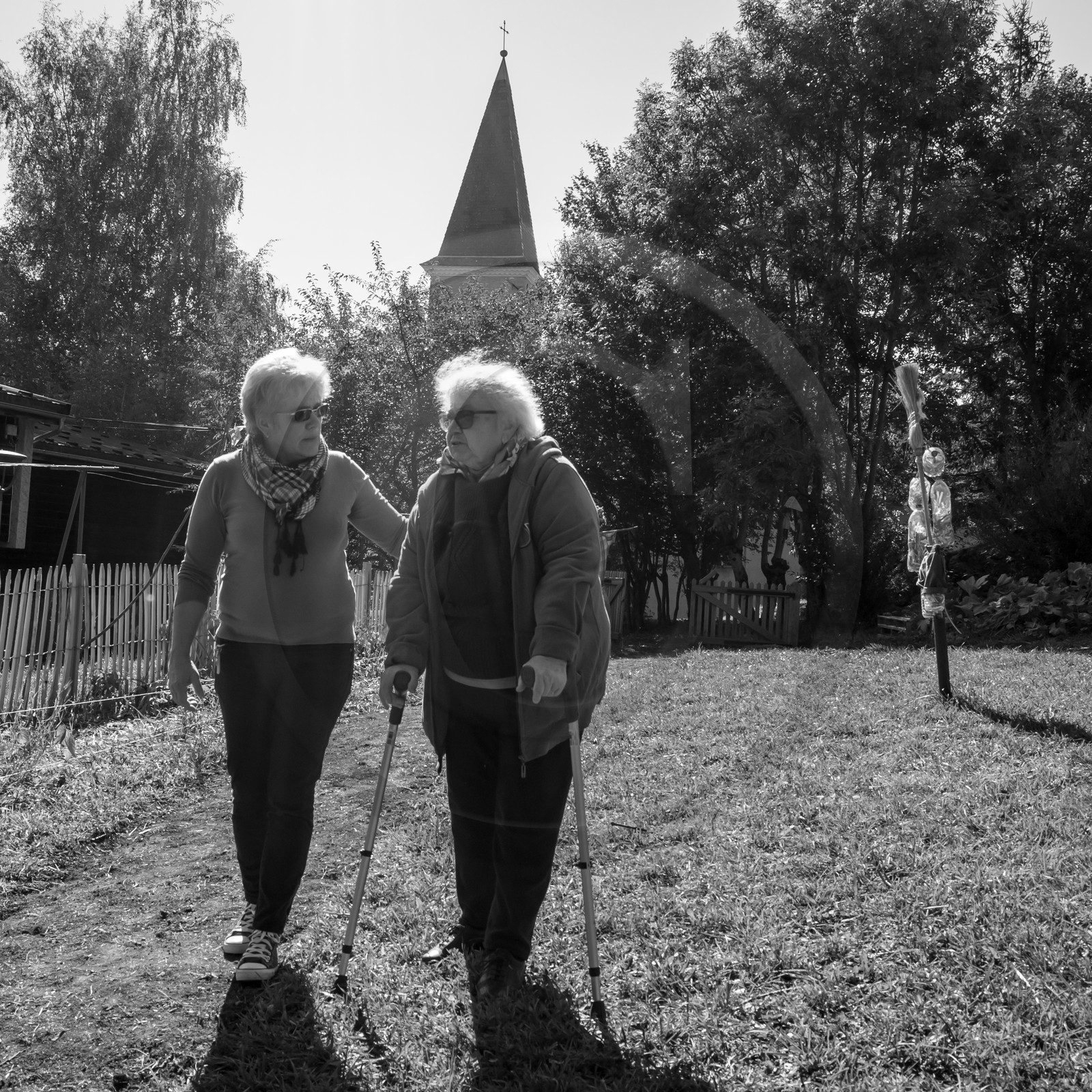 20 septembre 2017 - Jardinage