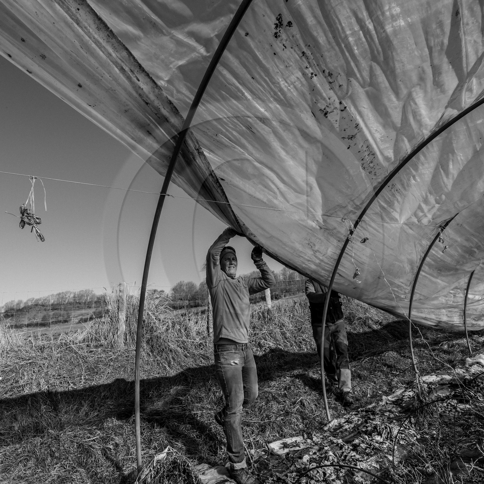 Montage de serres tunnel Montage de serres tunnel