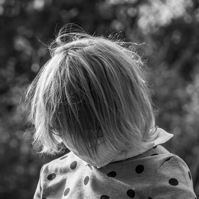 Semis, tournesols et jeux