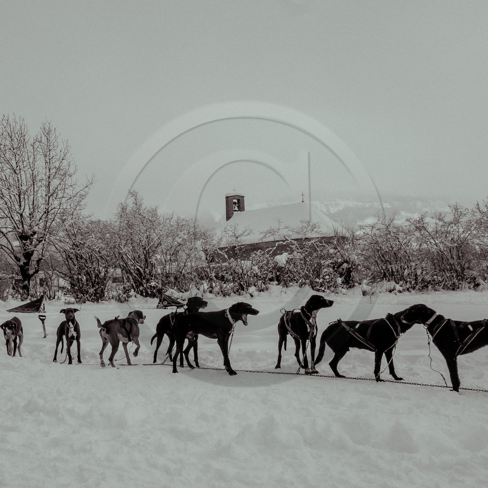 La Valgaude Traineau 2015