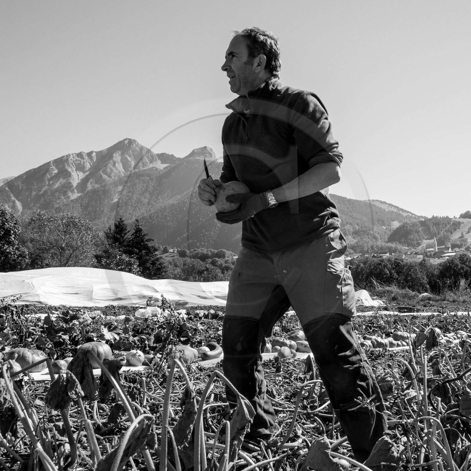 dlebioda-03102016-L1174341.jpg dlebioda-03102016-L1174341.jpg