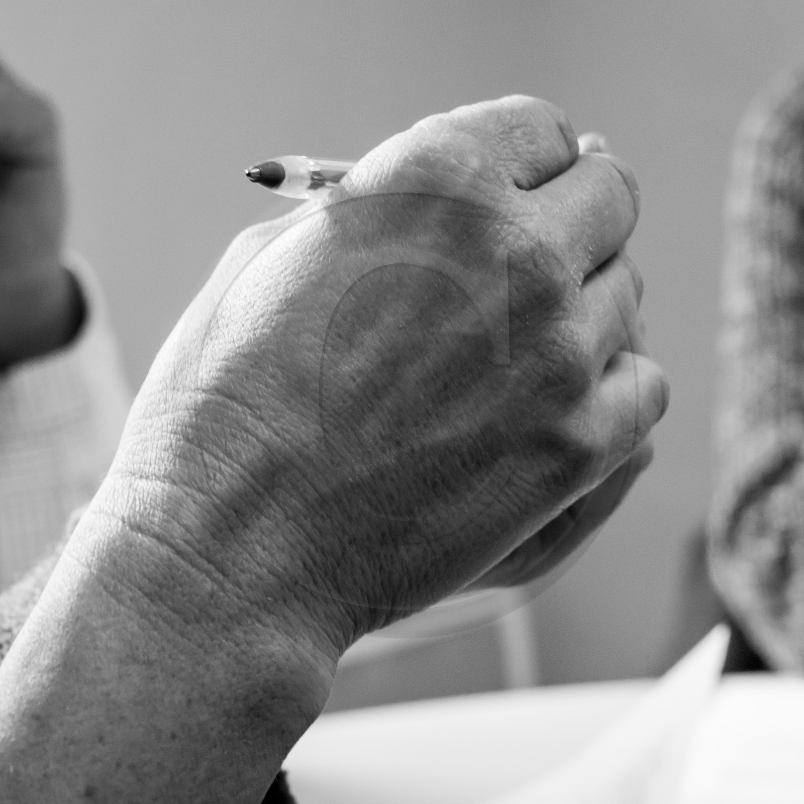 L'Ouort de Bénévent - 27 janvier 2017 L'Ouort de Bénévent - 27 janvier 2017