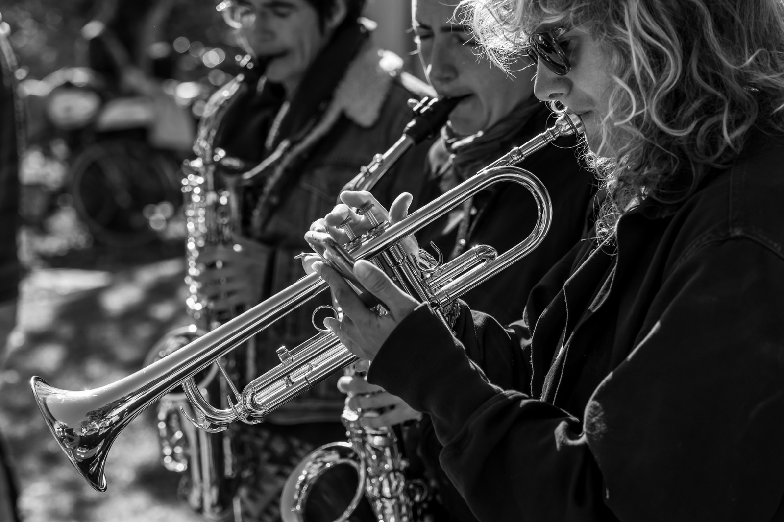 26 octobre 2025 : Les oiseaux de trottoir