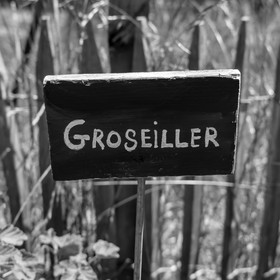 12 juin 2019 : Après-midi au jardin