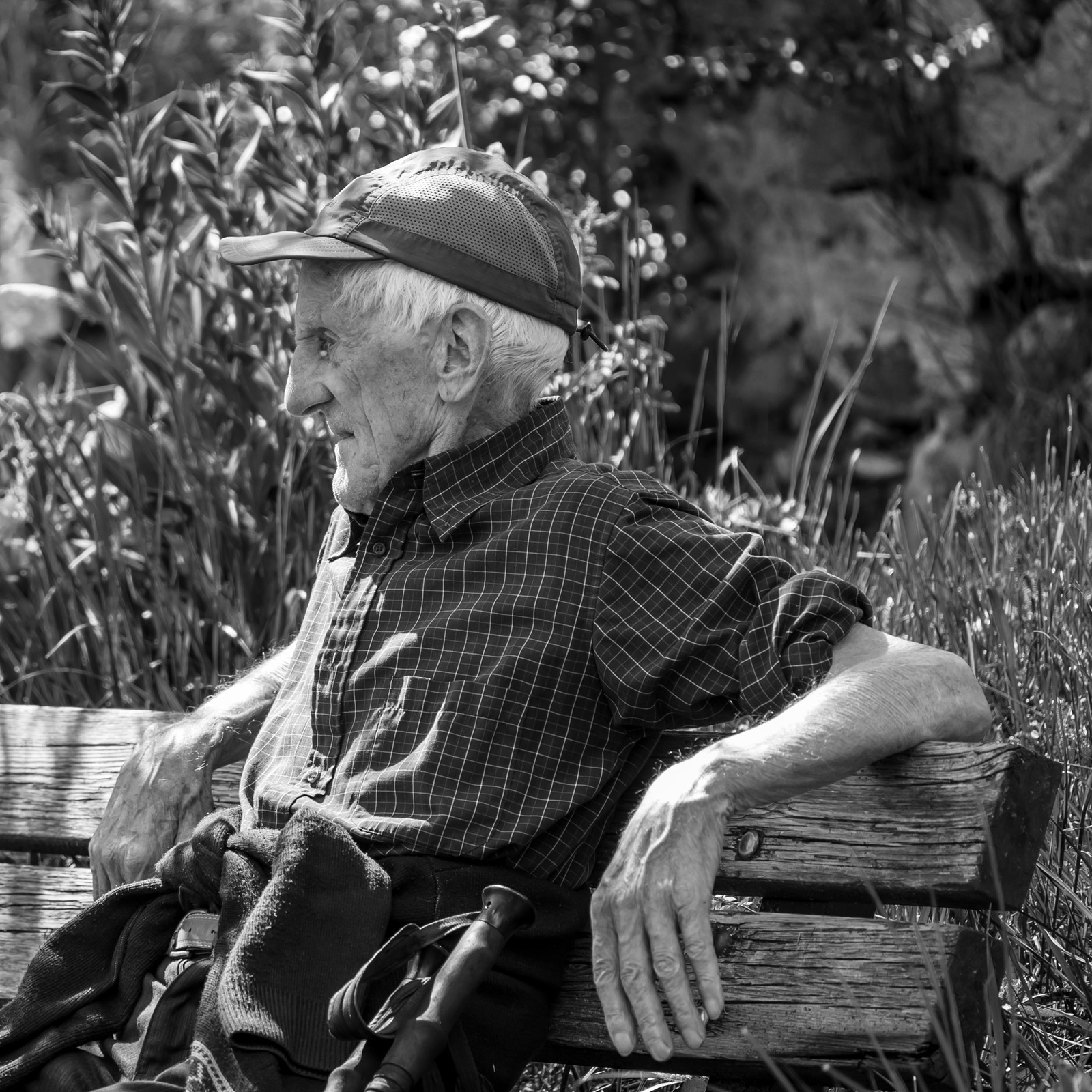 30 avril 2025 : Un oiseau en osier