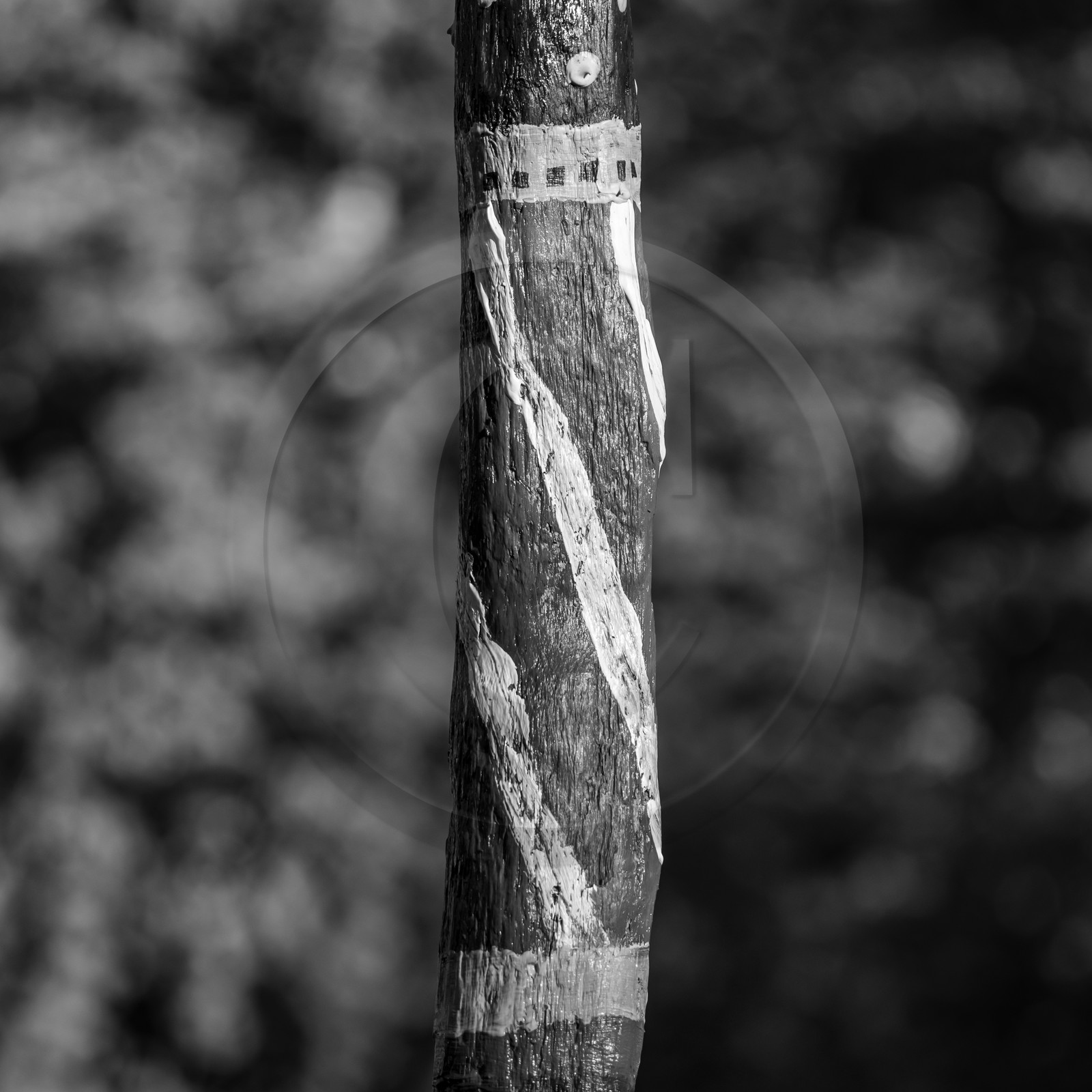 27 octobre 2021 : Un sentier et une réunion