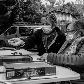Semis, tournesols et jeux