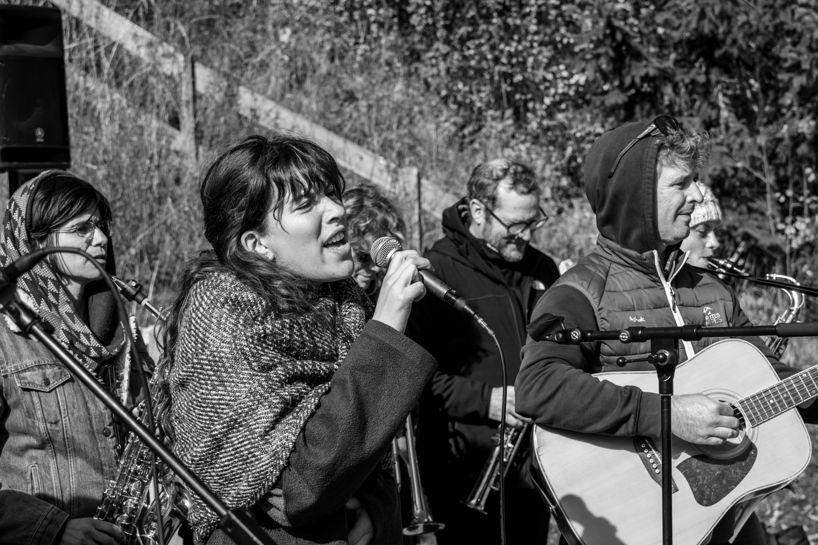 26 octobre 2025 : Les oiseaux de trottoir