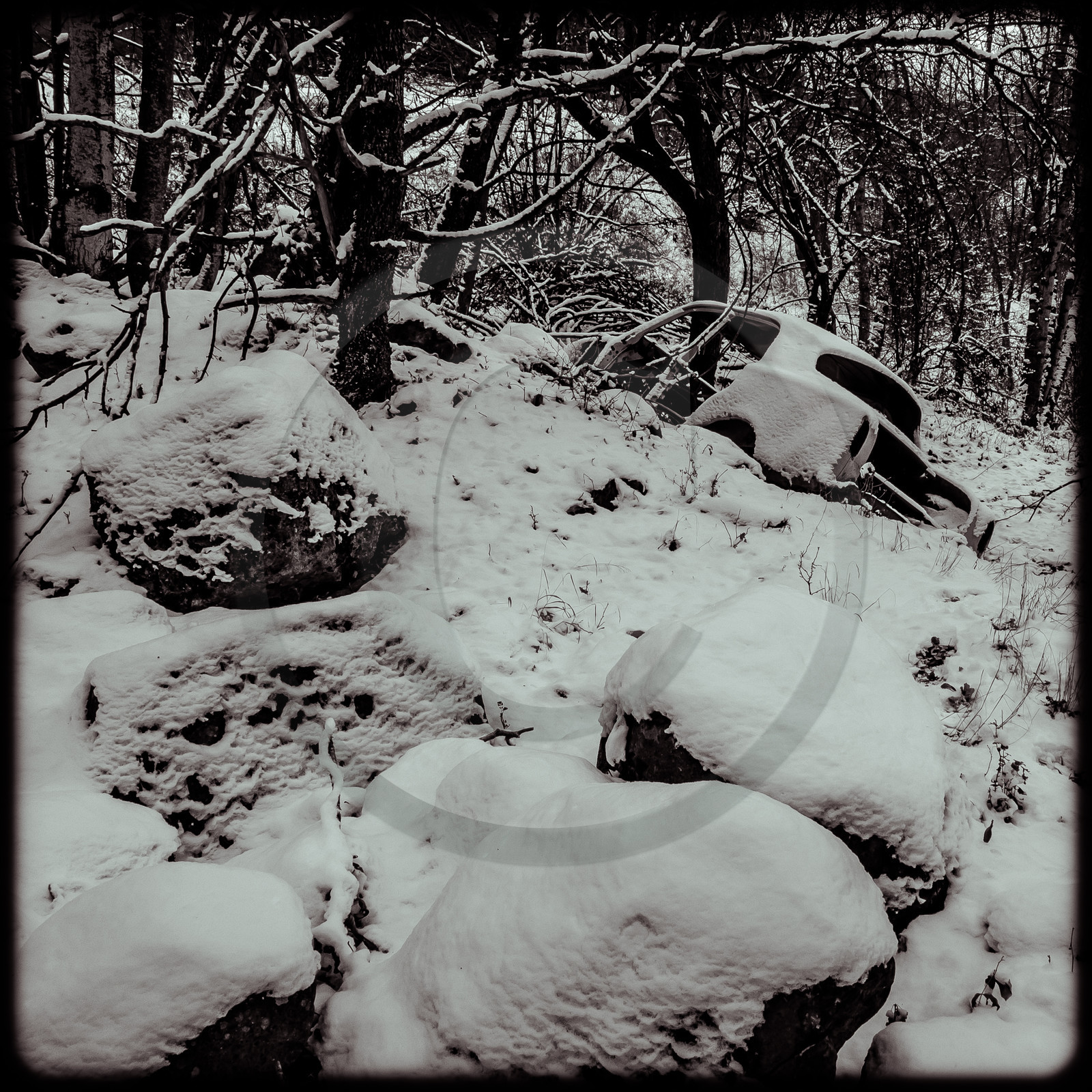 Un cimetière de voitures