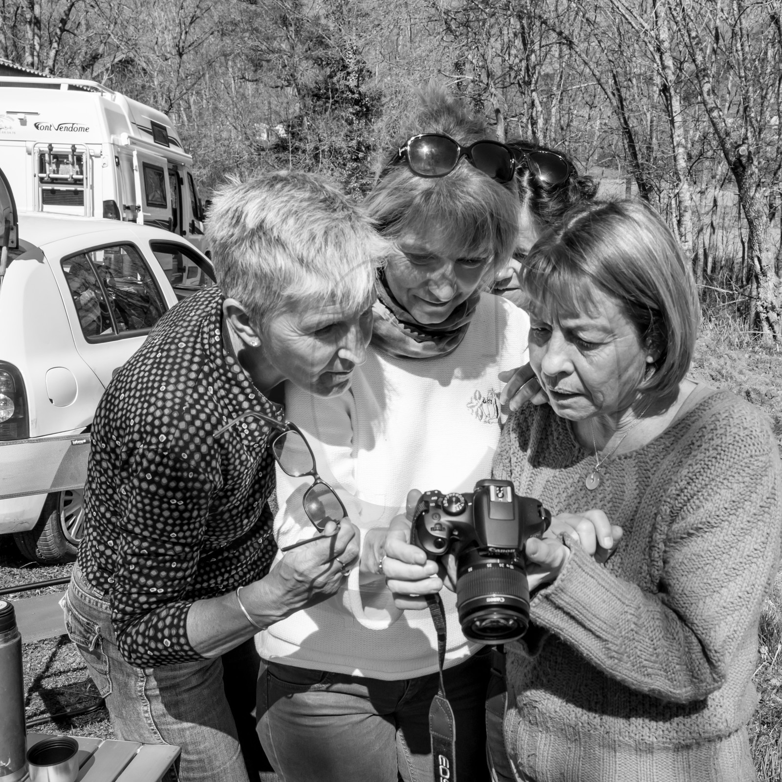 Nettoyage du terrain - Coupe du bois - 29 03 17