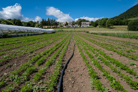 Légumontagne : maraichage biologique à Ancelle