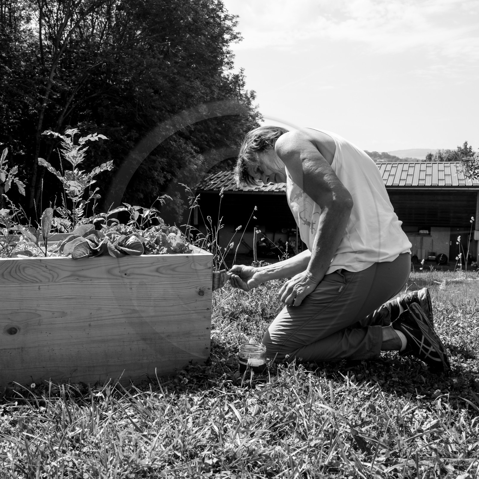 14 juin 2017 - Pose de la clôture 14 juin 2017 - Pose de la clôture