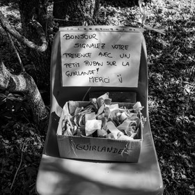 14 mai 2023 : Vide-Jardin