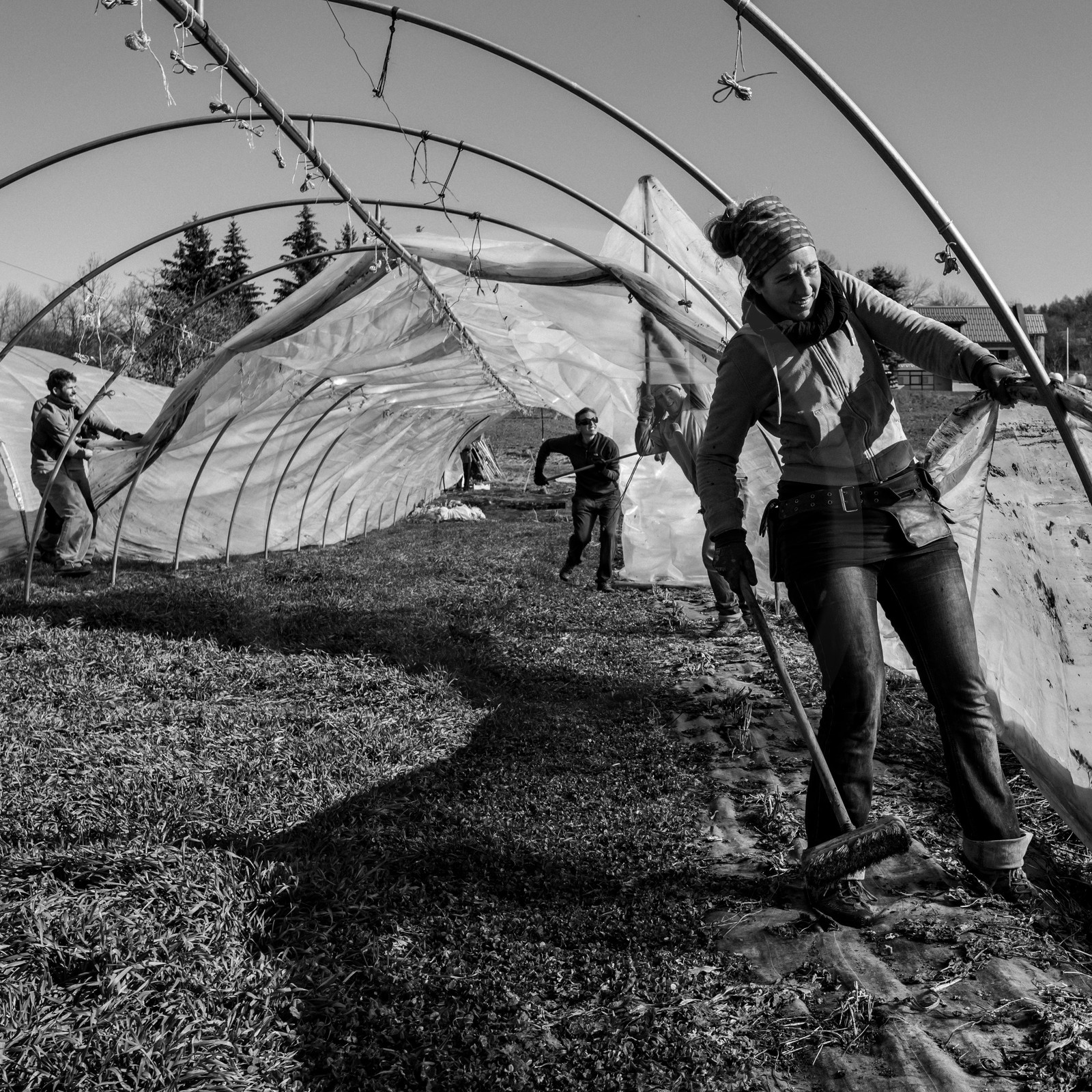 Montage de serres tunnel Montage de serres tunnel