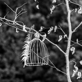 27 août 2025 : Jeux, tissages et photos