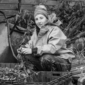 Maraichage biologique dans le Champsaur