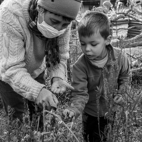 Semis, tournesols et jeux