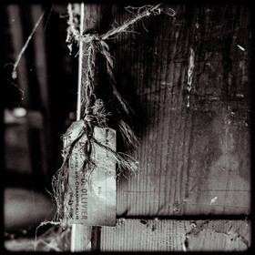 L'usine de Fenasse L'usine de Fenasse