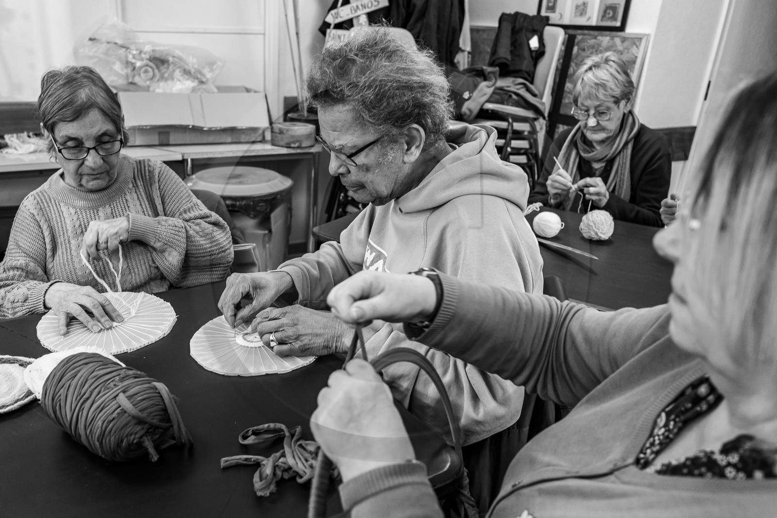 03 avril 2024 : Laine et aménagements au jardin