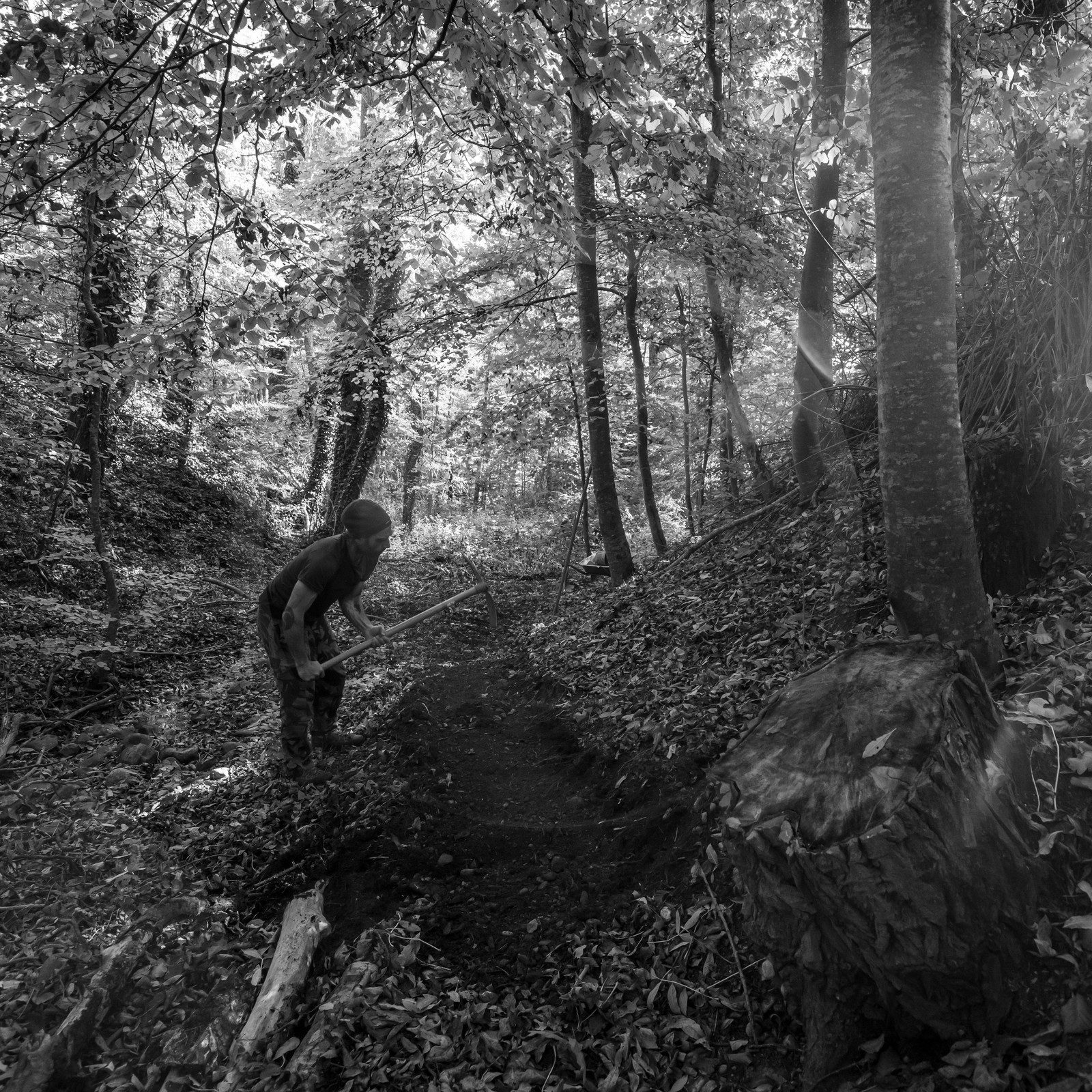 27 octobre 2021 : Un sentier et une réunion