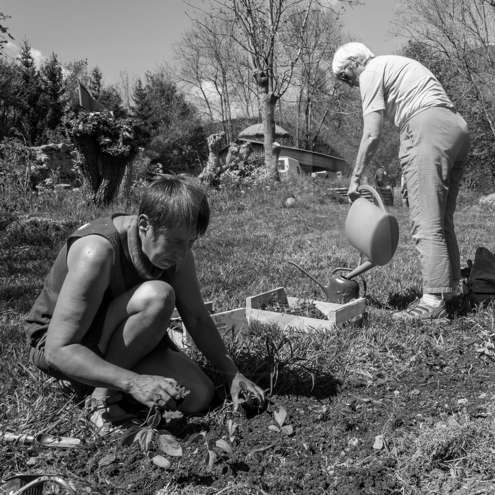 31 mai 2017 - Jardinage 31 mai 2017 - Jardinage