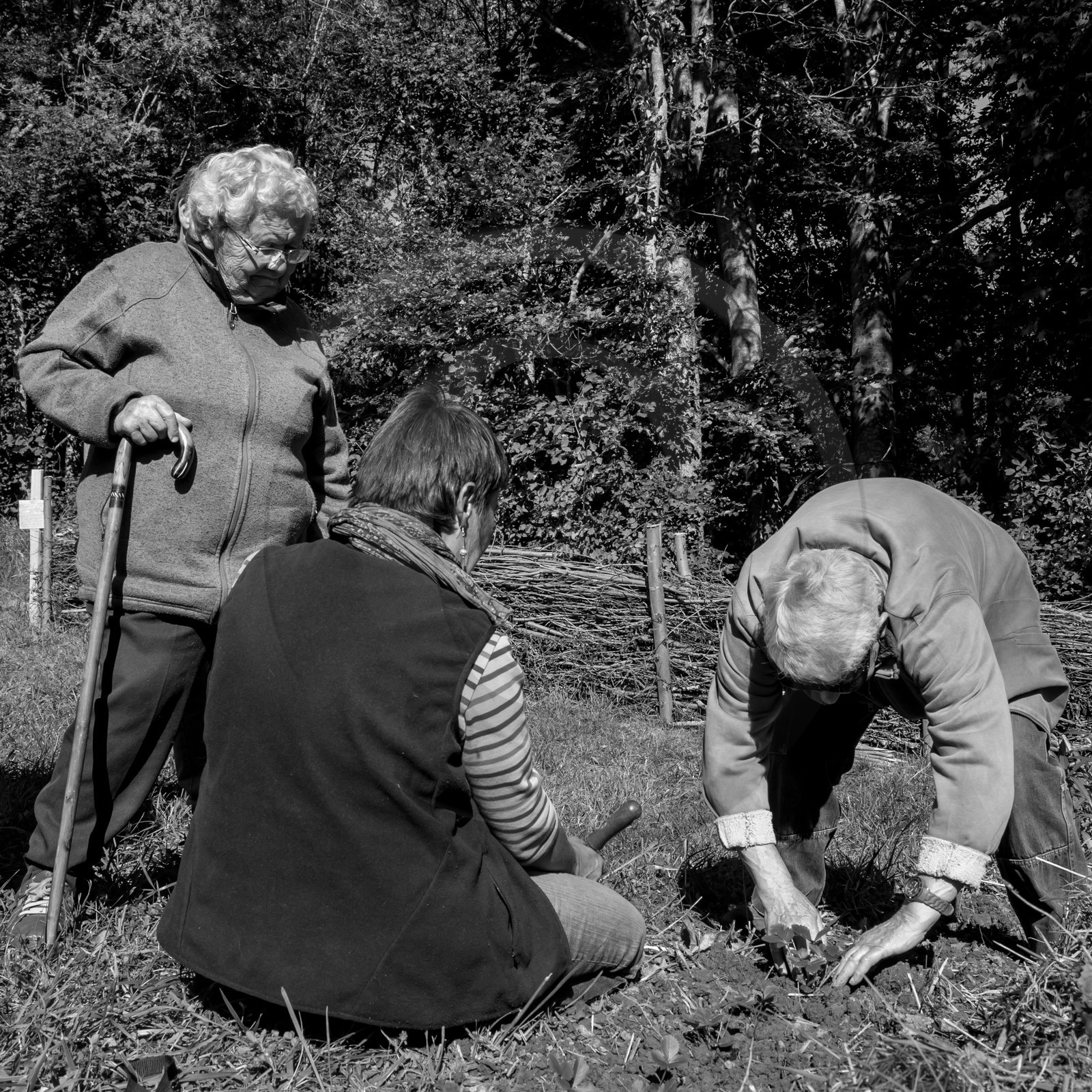 20 septembre 2017 - Jardinage 20 septembre 2017 - Jardinage