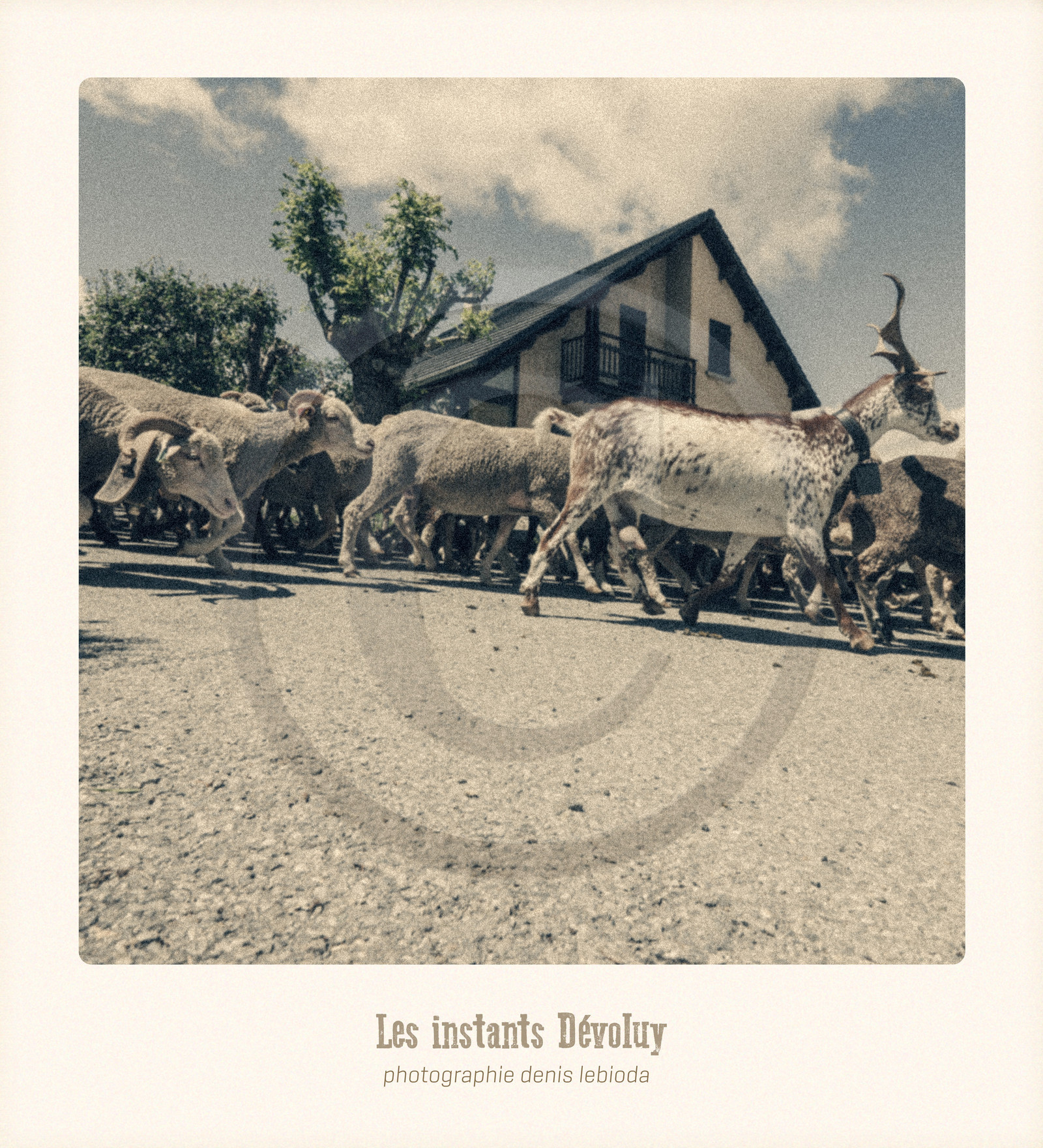 Les Instants Dévoluy