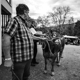 Rencontres paysannes à Saint-Bonnet en Champsaur