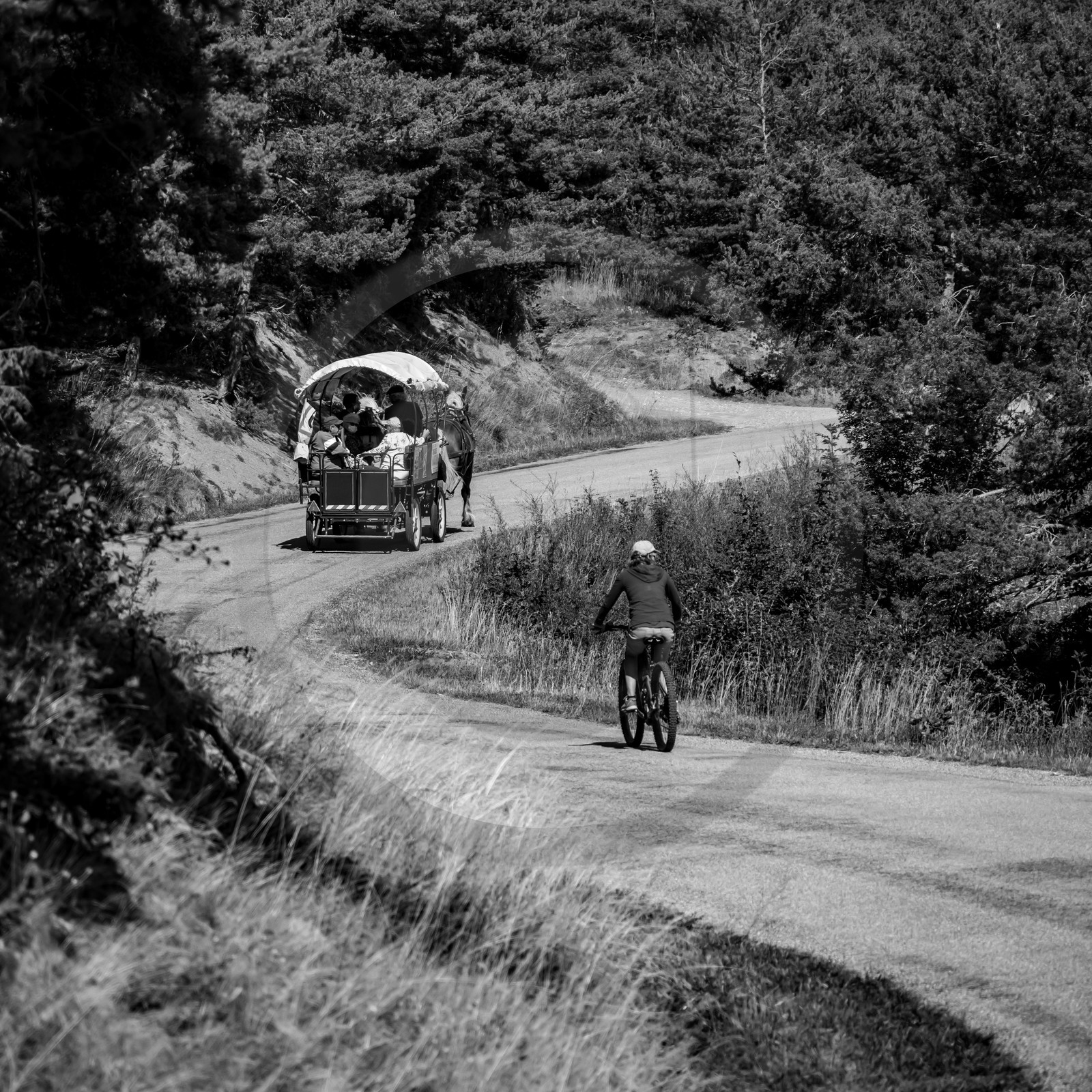 01 septembre 2021 : Promenade en cariole et contes