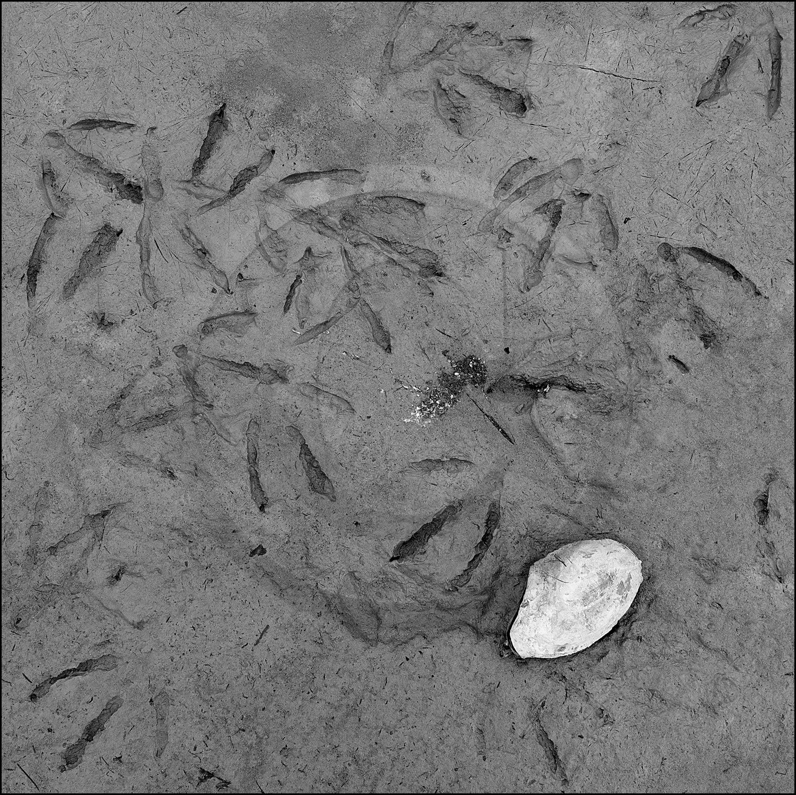 Serre-Ponçon, basses eaux