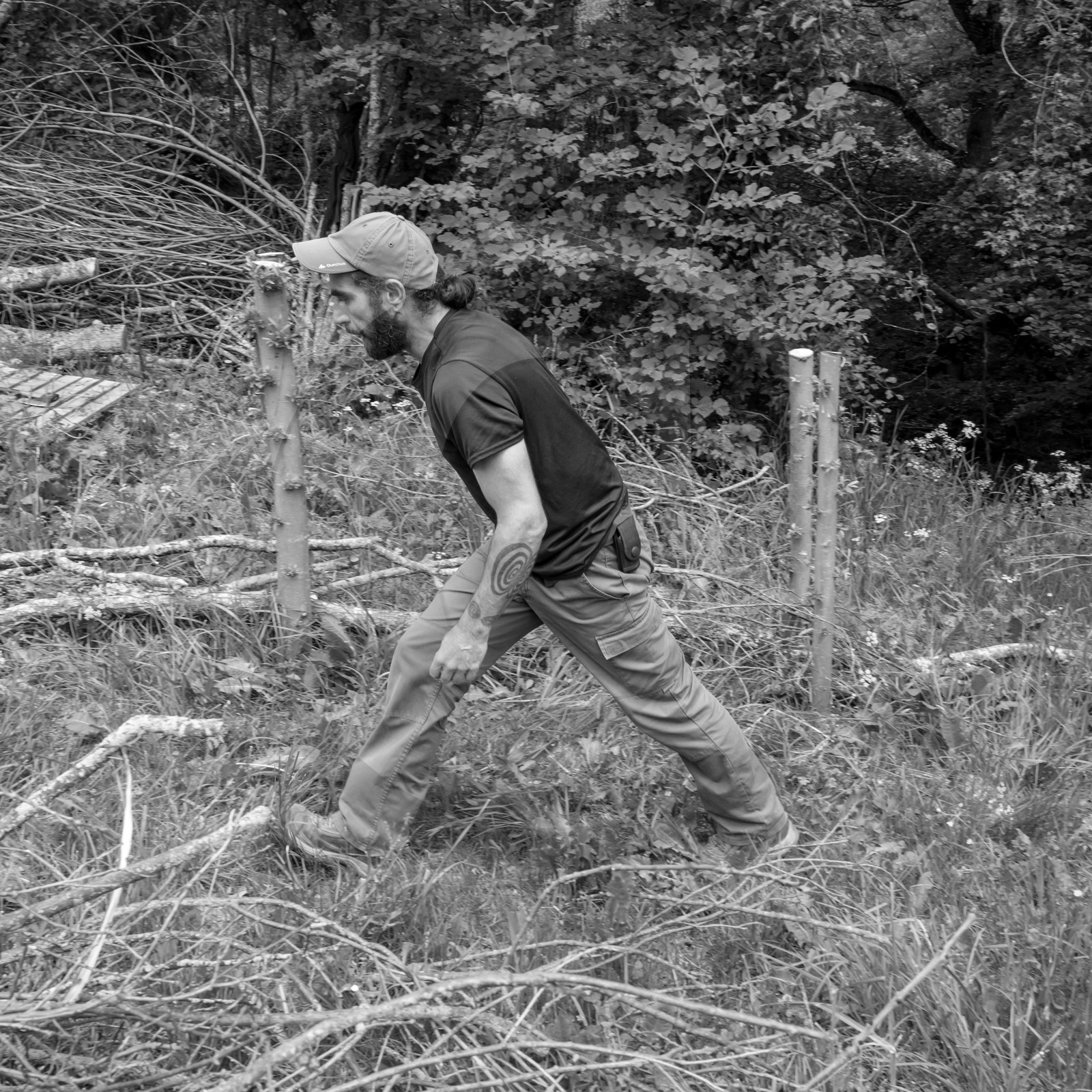 31 mai 2017 - Jardinage