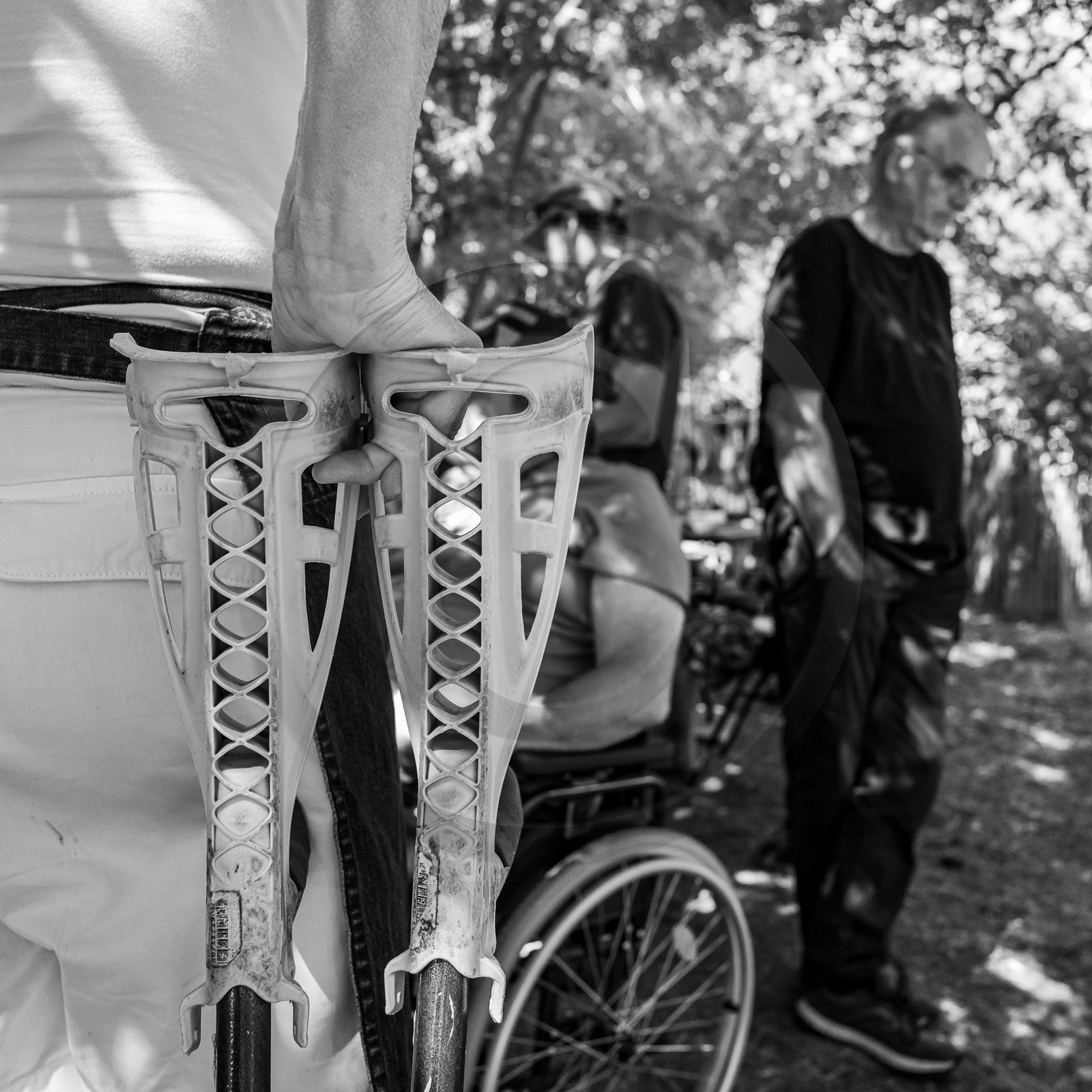 09 août 2023 : HydrOlique au jardin 09 août 2023 : HydrOlique au jardin