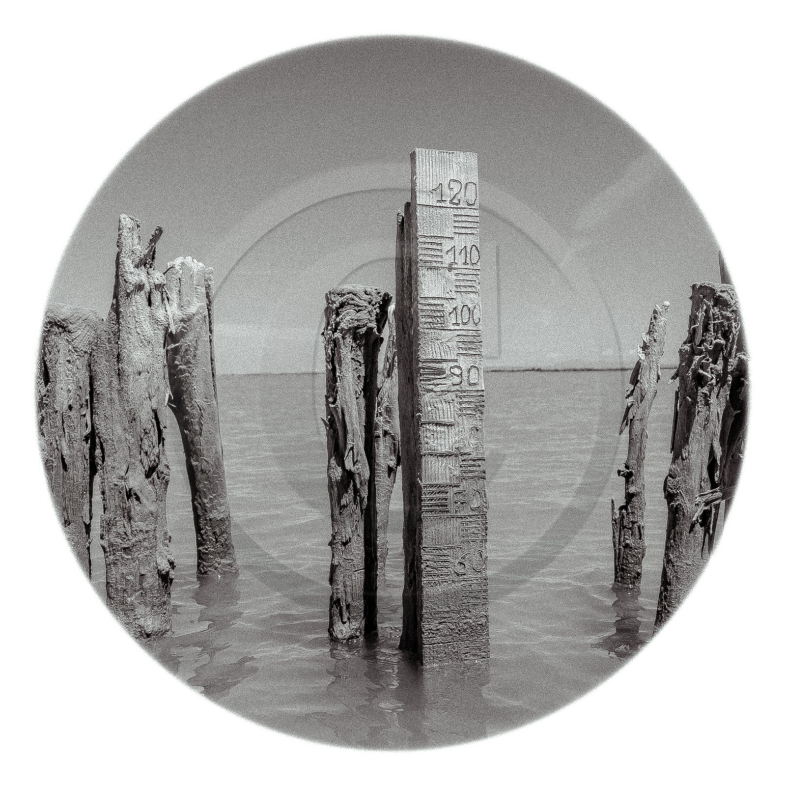 Les instants Camargue