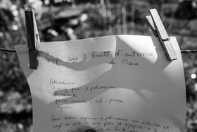 05 novembre 2022 : des pommes et des soupes