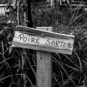 Aprés-midi jeux et autres activités