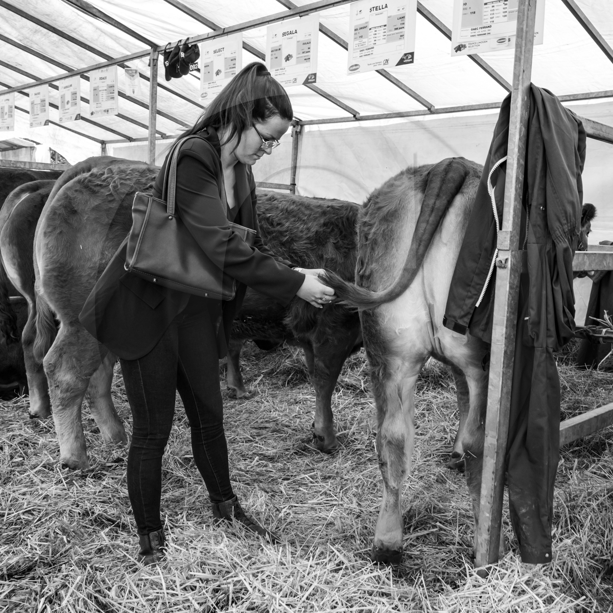 Rencontres paysannes à Saint-Bonnet en Champsaur