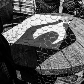 25 avril 2025 : Journée des Aidants