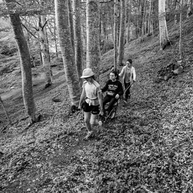 Initiation à la Joelette