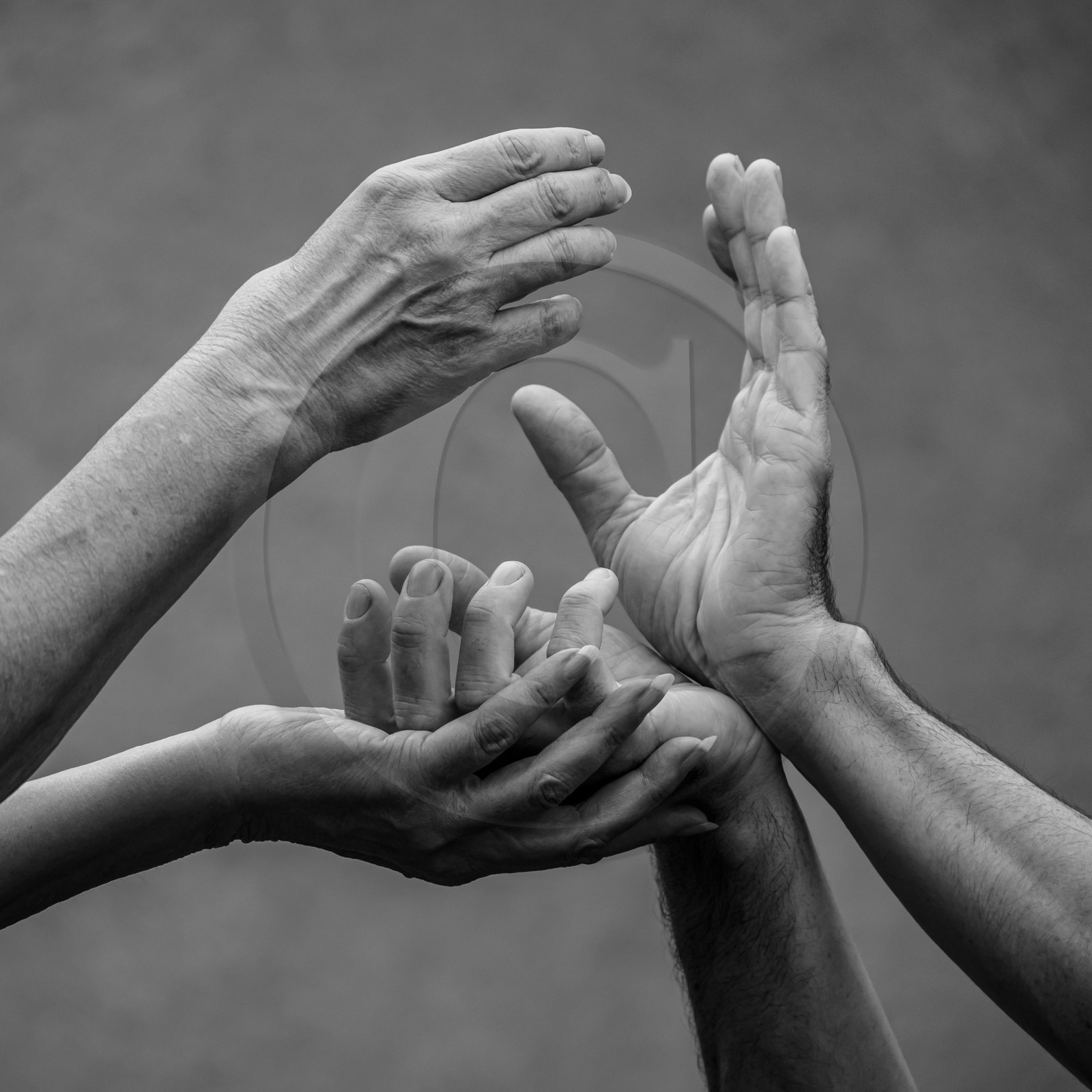 05 juin 2024 : Théâtre d'improvisation et découverte de la joelette