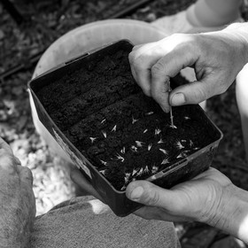 23 août 2017 - Animations