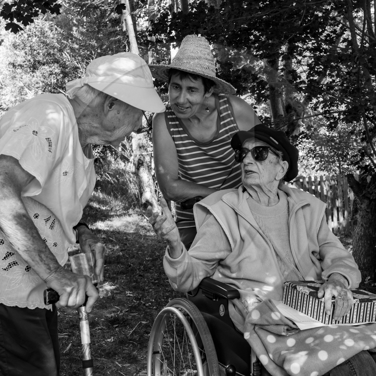 29 juin 2022 : Découverte des plantes sauvages