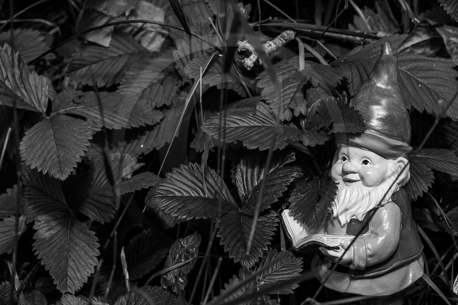 17 juillet 2023 : Journée des aidants et des aidés 17 juillet 2023 : Journée des aidants et des aidés