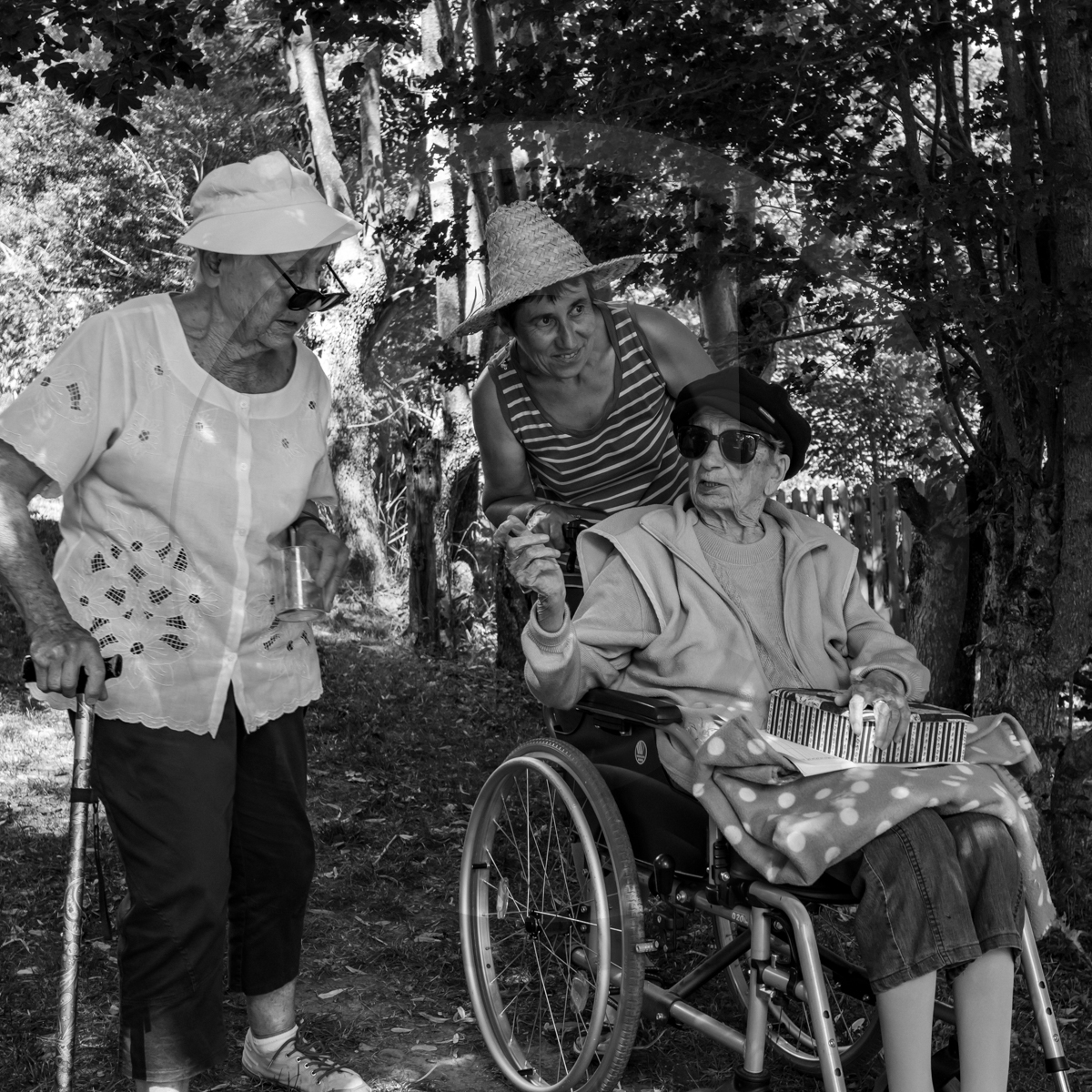 29 juin 2022 : Découverte des plantes sauvages