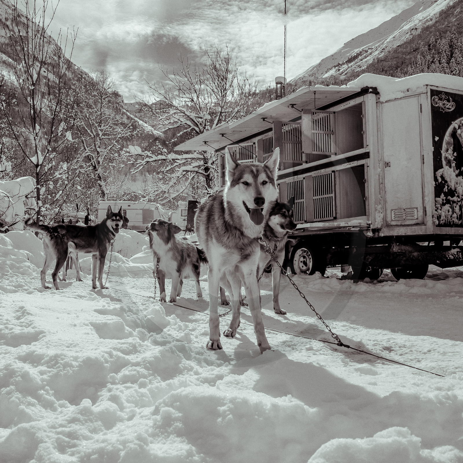 La Valgaude Traineau 2015