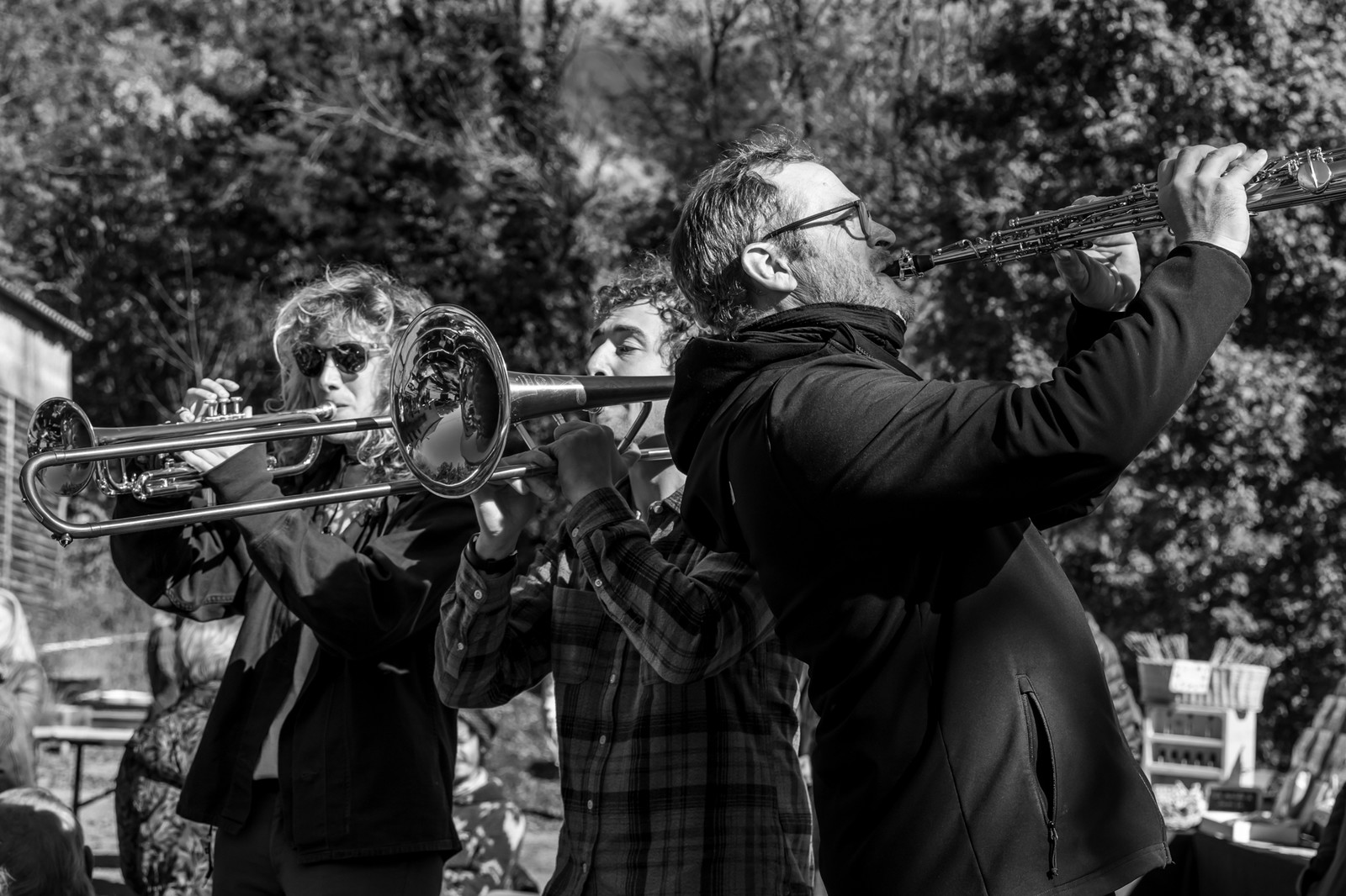 26 octobre 2025 : Les oiseaux de trottoir