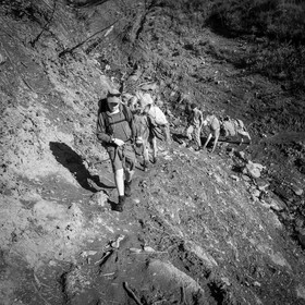 Portage avec des ânes