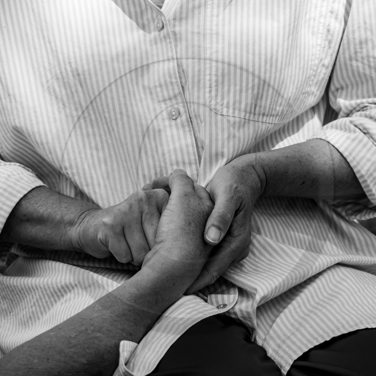 19 août 2022 : Journée des aidants et des aidés